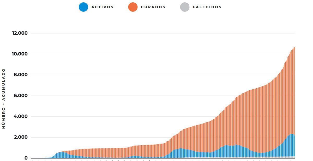 grafico covid febrero