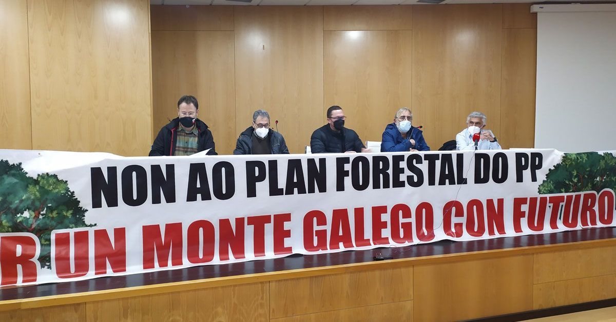 manifestacion contra plan forestal