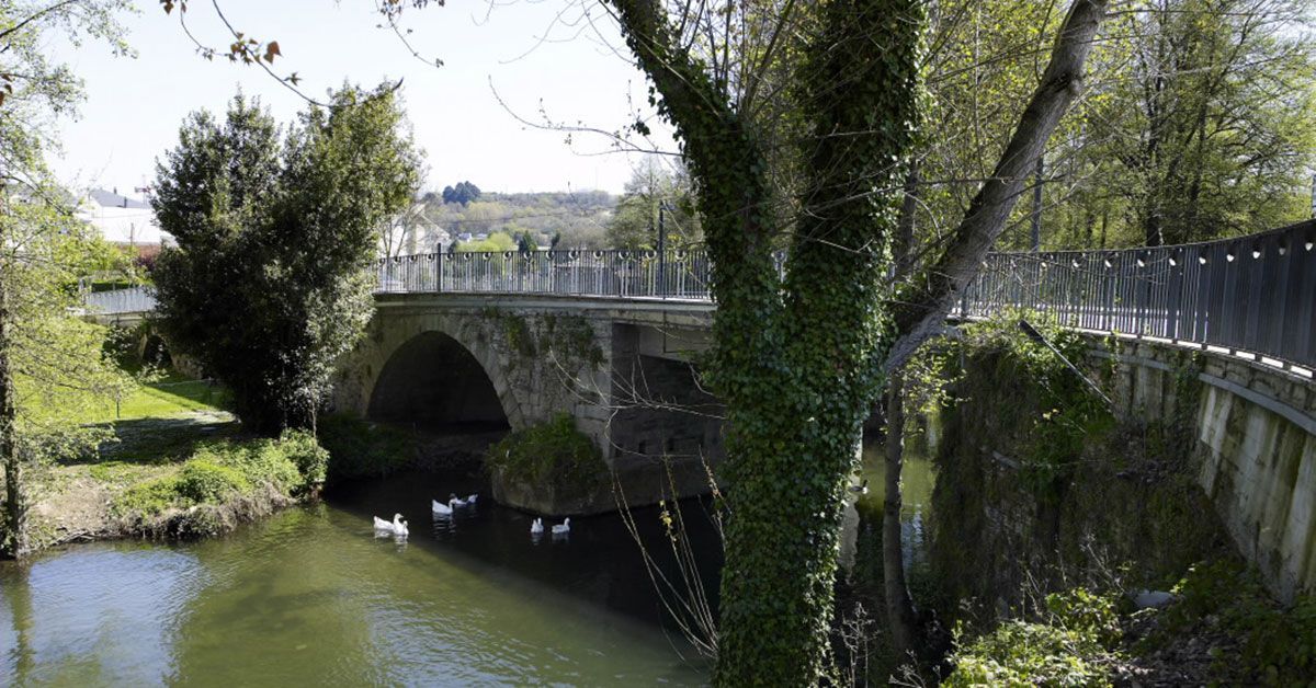 ponte ribeira sarria