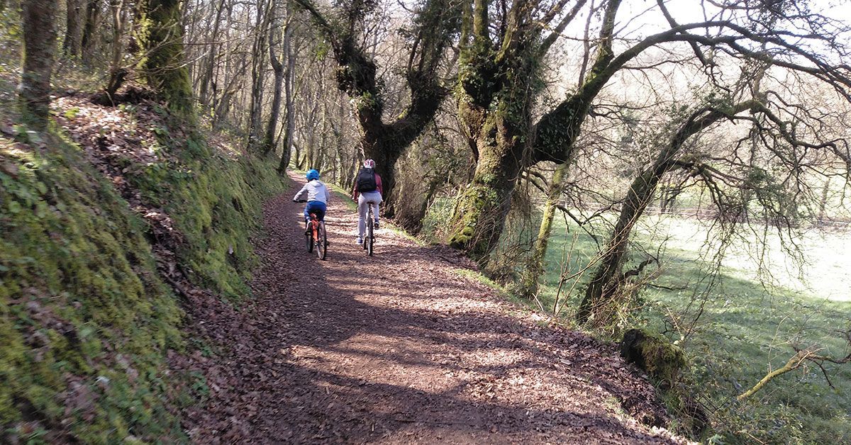 sarria ies xograr bicicletas 4