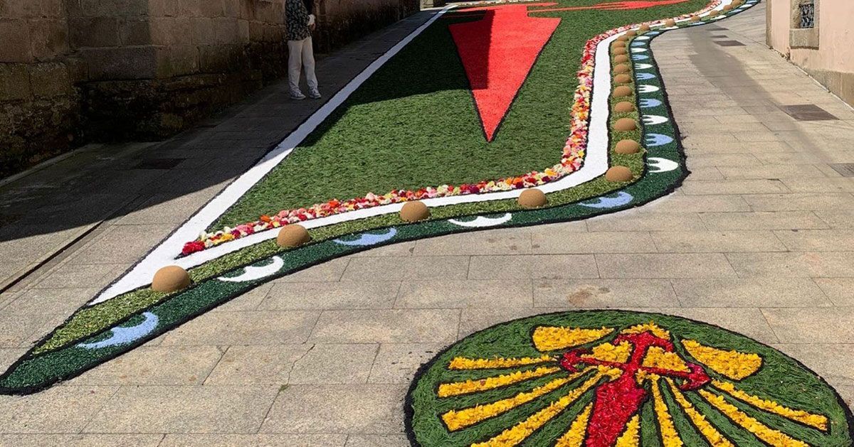 alfomvbra floral sarria 2