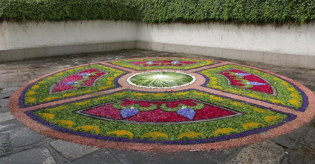 alfomvbra floral sarria