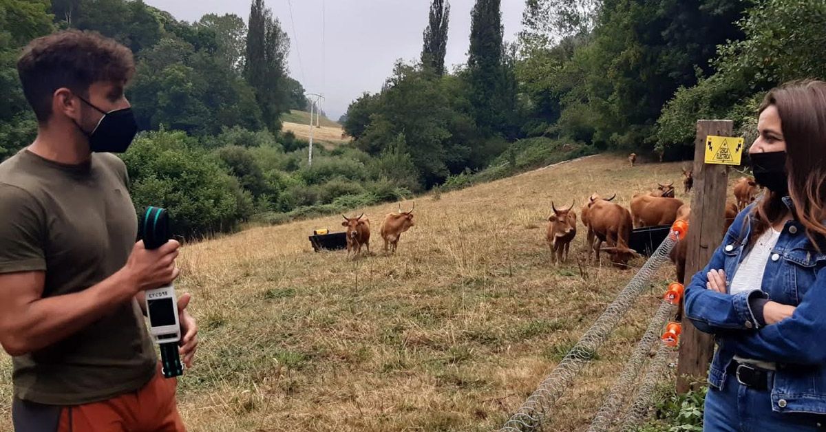 ganderia aldea modelo incio