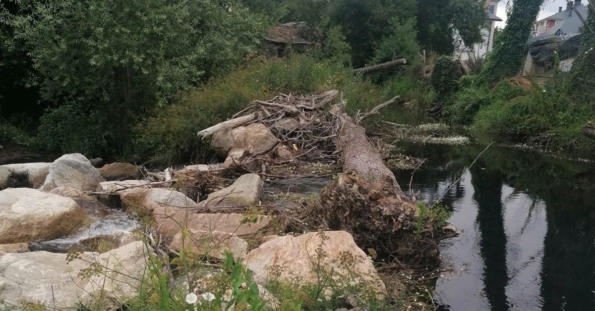 presa parque chanto sarria