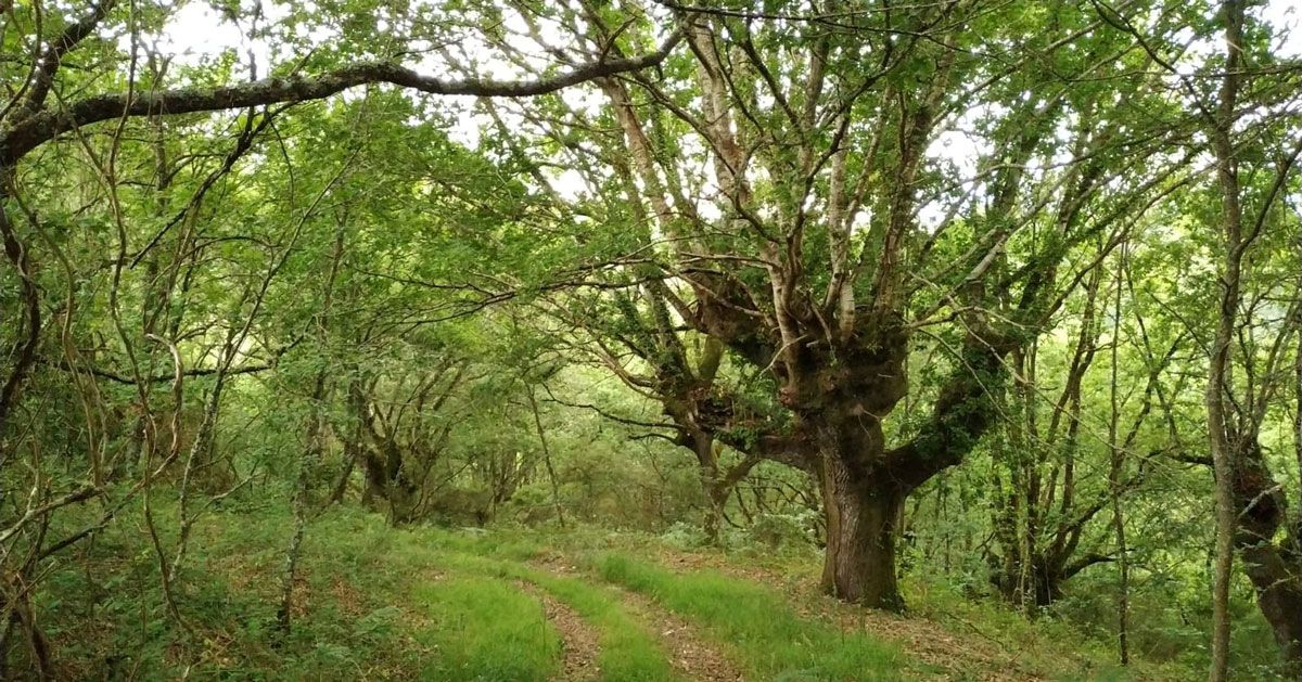 ruta-loio3