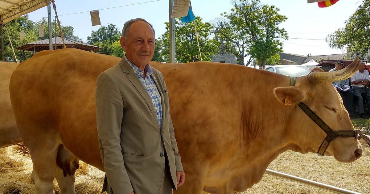 cesar dorado vaca raza rubia galega acruga adai