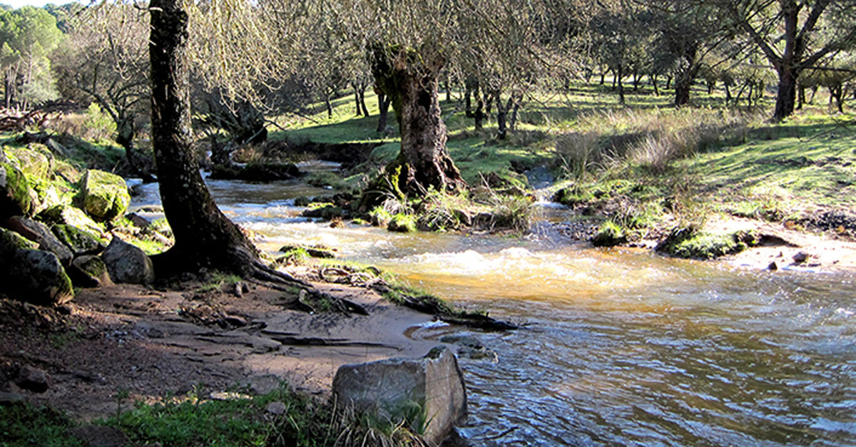 Camiño Eufrasiano