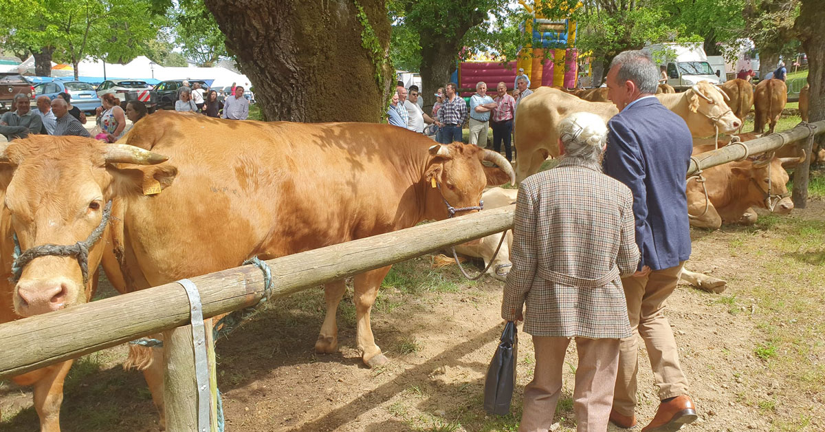 Feira da Tenreira Láncara