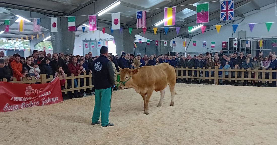 Feira-San-Isidro-2025-Sarria