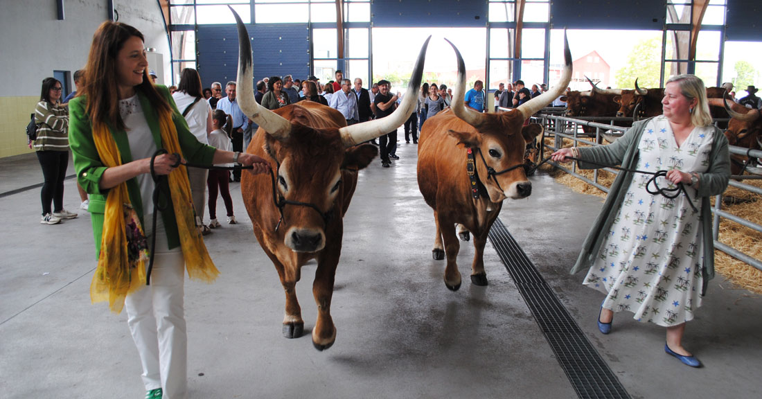 Feira-San-Isidro-Paradela-2025