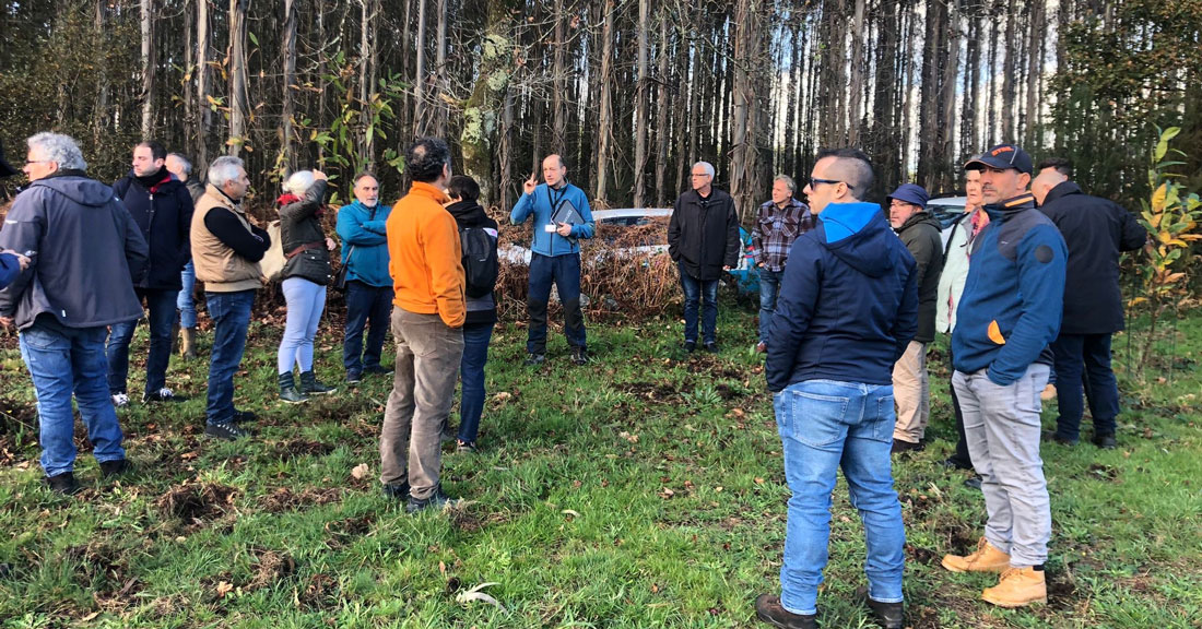 Asociacion-galega-das-castañas-e-dos-soutos