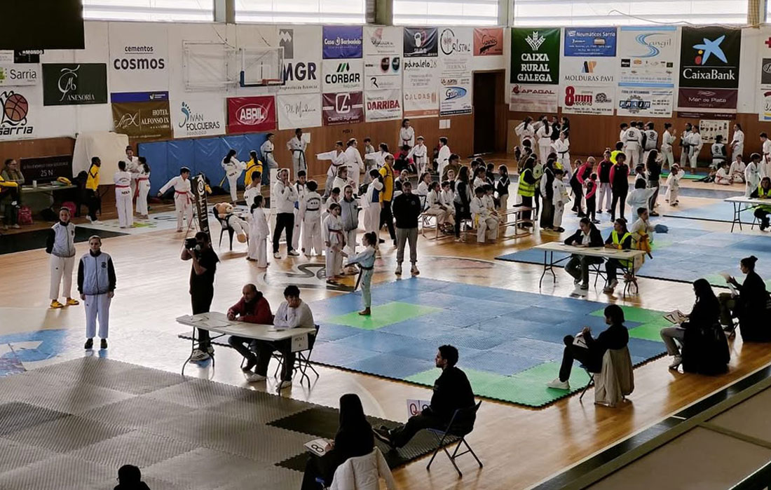 Copa-Deputación-de-Taekwondo-Sarria-25