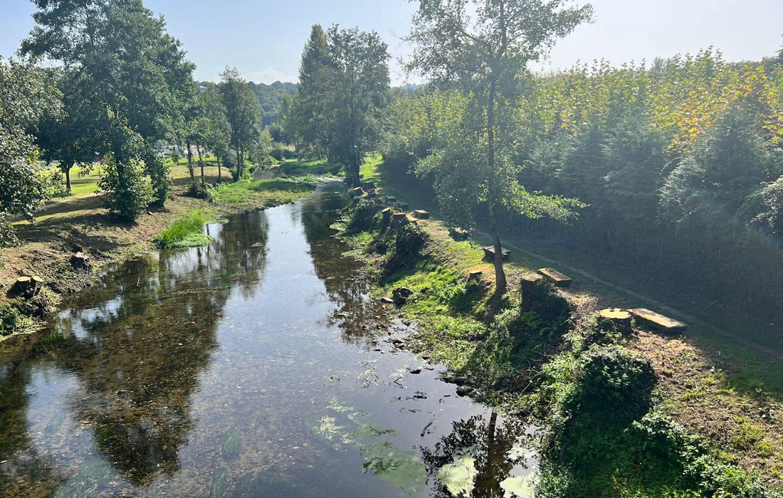 O-Chanto-árbores-cortadas-Sarria