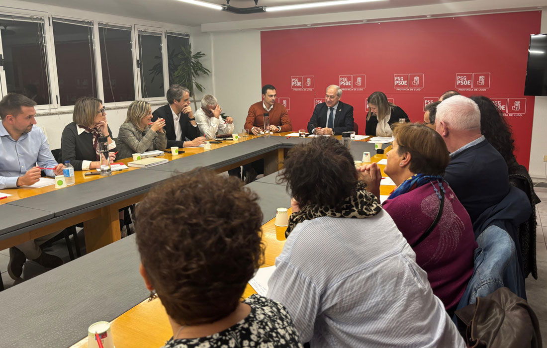 reunión-da-Comisión-Executiva-Provincial-PSOE