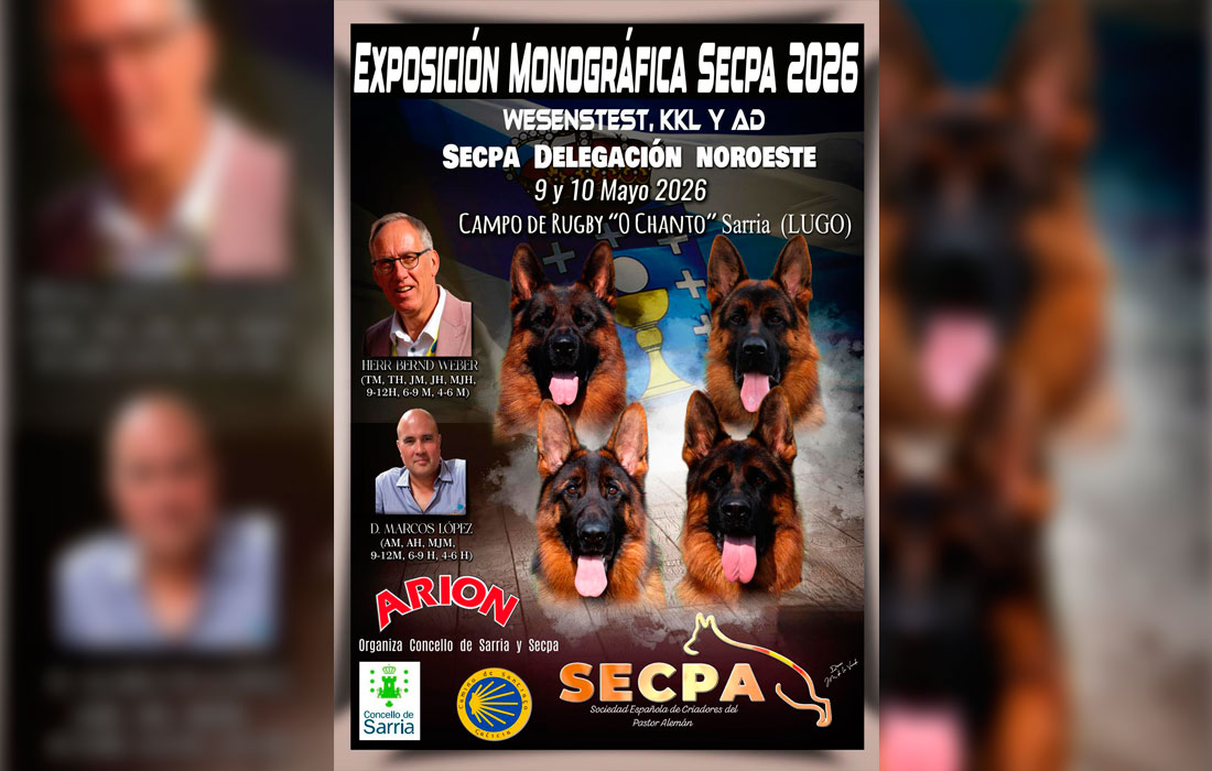 EXPOSICION-MONOGRAFICA,-WESENSTEST,-KORUNG-Y-AD-(Resistencia)-SARRIA-XA