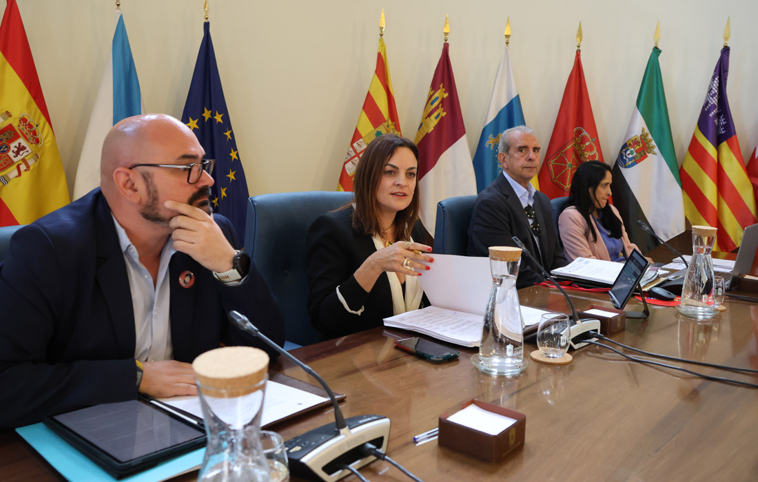 pleno-ordinario-deputacion-carmela