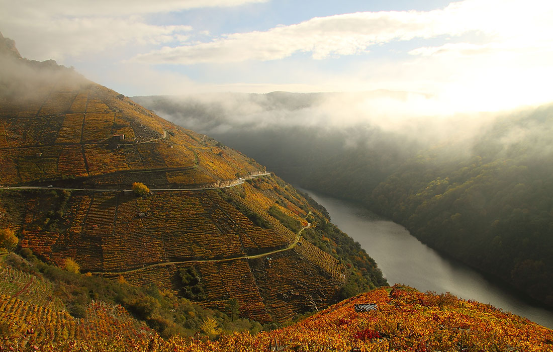 ribeira-sacra-vista