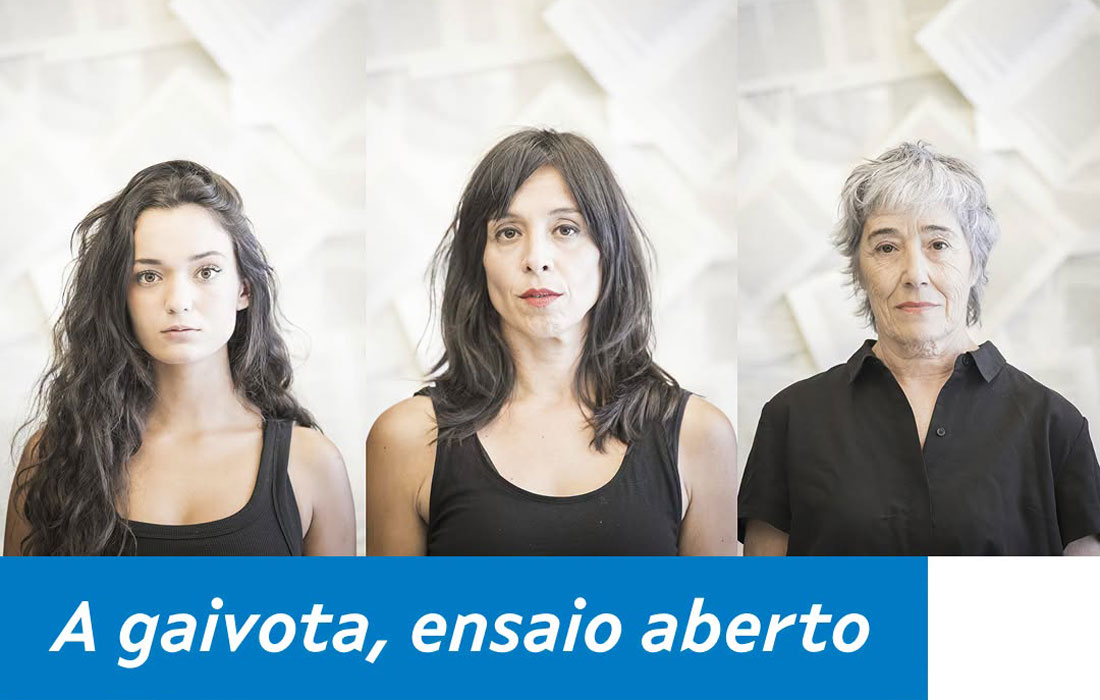 A-Gaivota.-Ensaio-aberto
