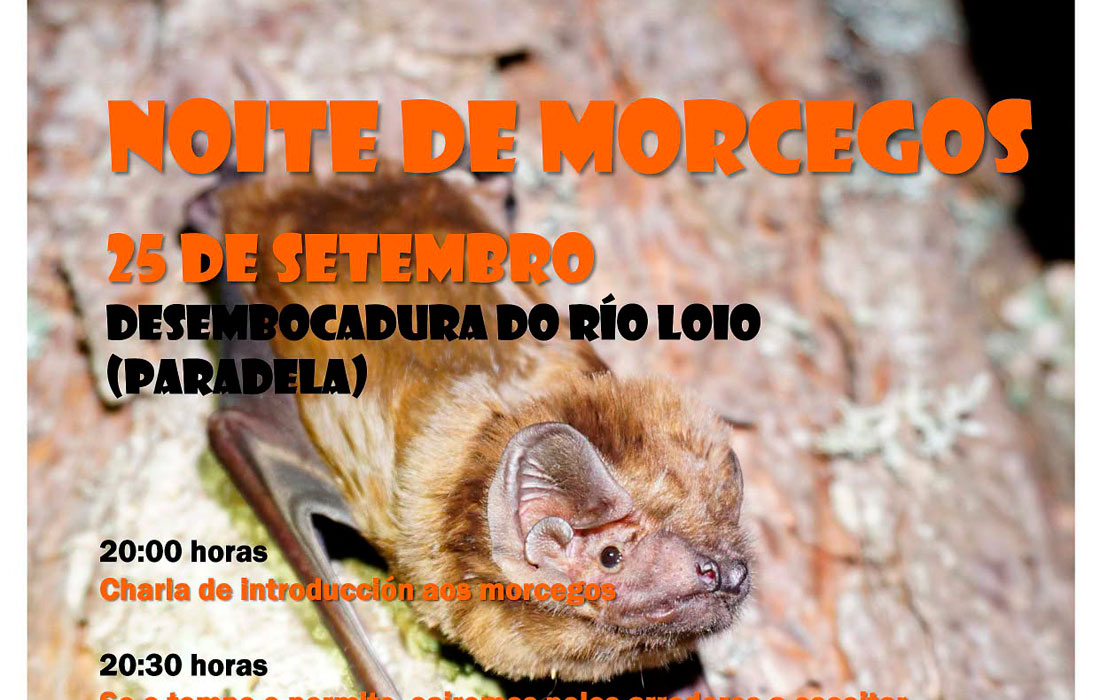 noite-de-morcegos-paradela-2026