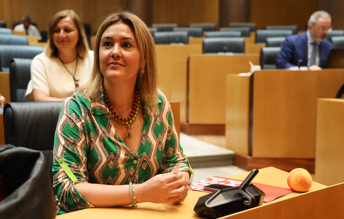 patricia-otero-congreso-psoe
