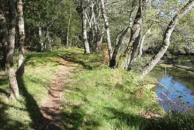 Río Parga ao seu paso por Guitiriz