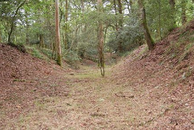 Foso da muralla de Cabreiros