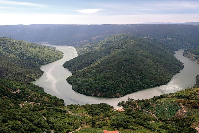 Ruta Viño Ribeira Sacra