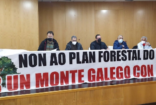 manifestacion contra plan forestal