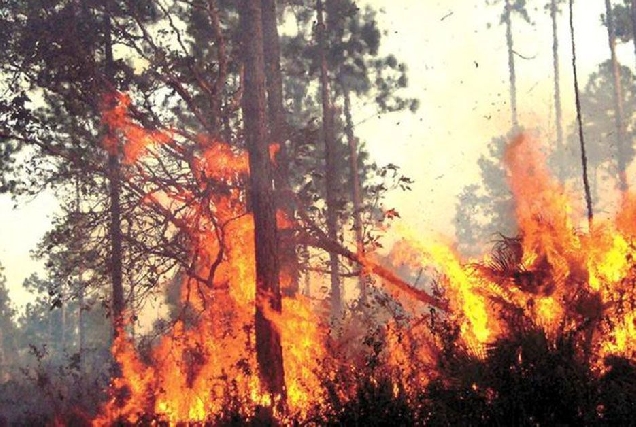 incendio forestal lume