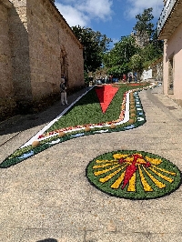 alfomvbra floral sarria 1