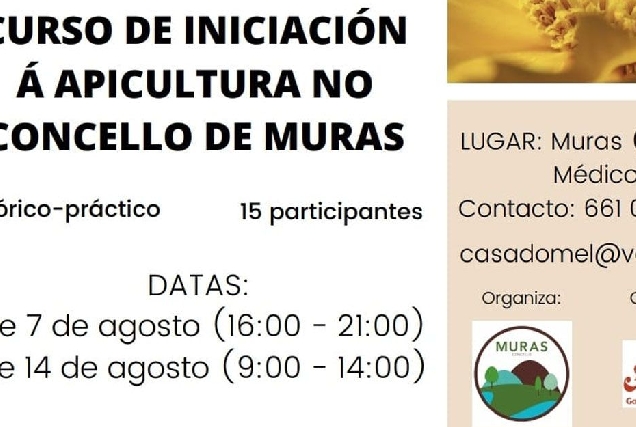 curso apicultura muras portada