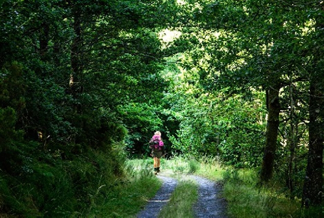 camino primitivo fonsagrada