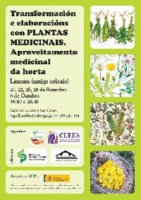 cartel val lancara plantas medicinais