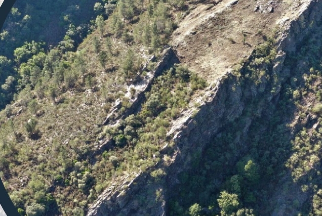 pobra brollon cogomelos castelos