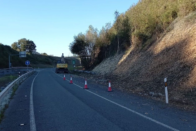 roza limpeza estrada lugo sarria