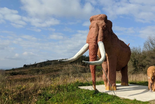 mamut-incio