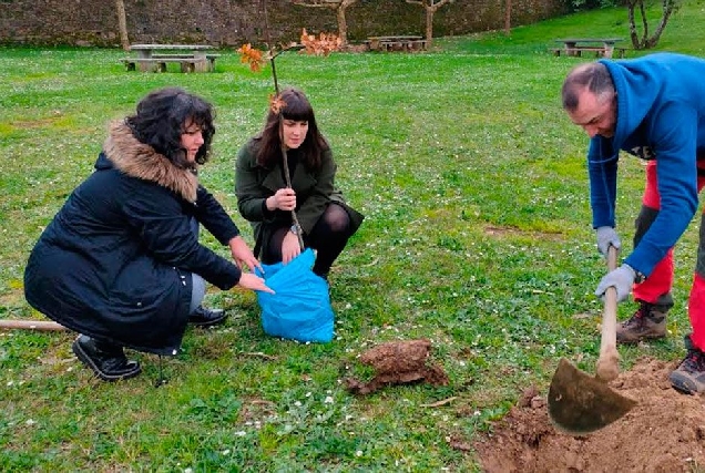 viveiro bng planta arbores parque pernas peon