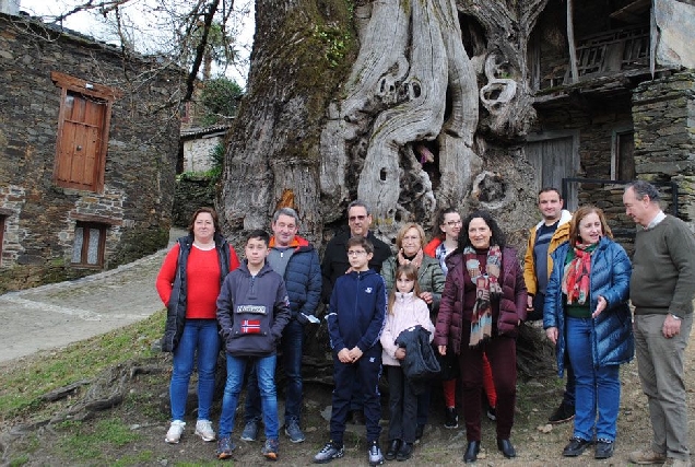 CASTIÑEIRA RAMIL GRUPO