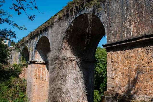 Ponte de Cruzul becerrea