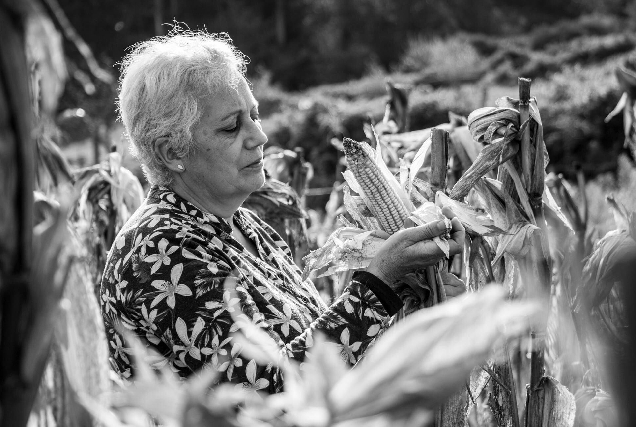 foto premio concurso cim viveiro3