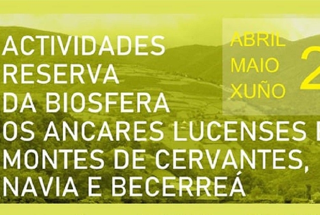 actividades cervantes