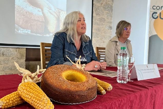 festa da torta de millo guitiriz portada