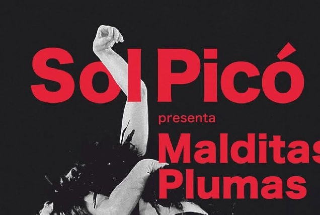 1 Sol pico malditas plumas ribadeo