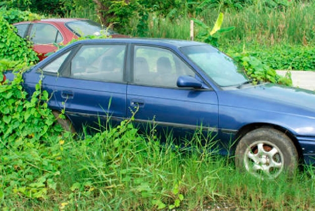 Vehiculo Abandonado