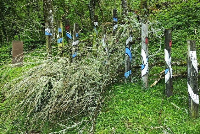 Ruta Fiz Vergara Vilariño.Samos