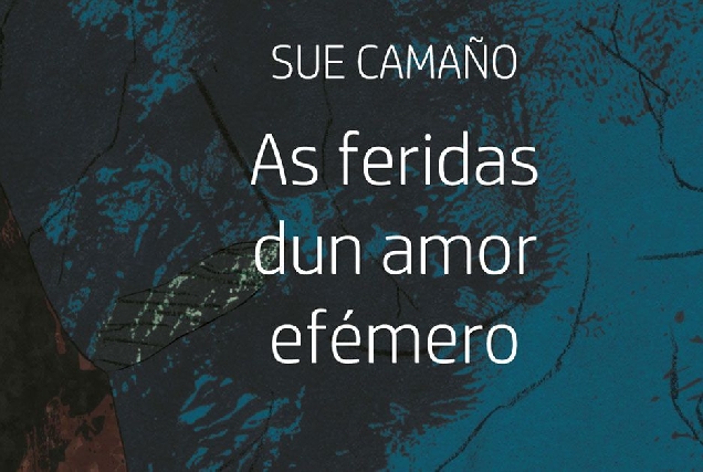 as feridas dun amor efemero certame literario portada