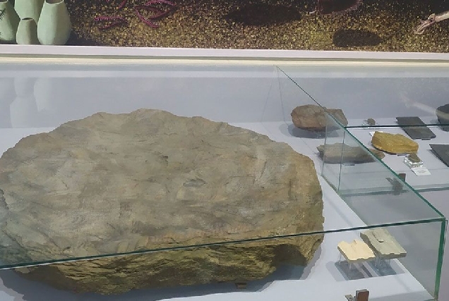 Pedra Museo Xeolóxico Quiroga