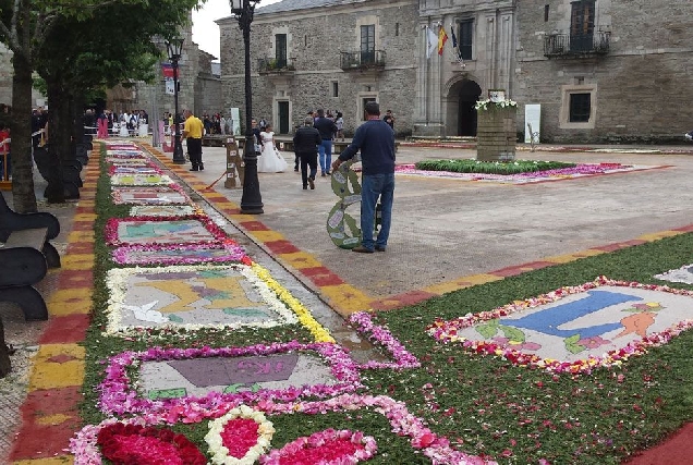 alfombras-florais-meira