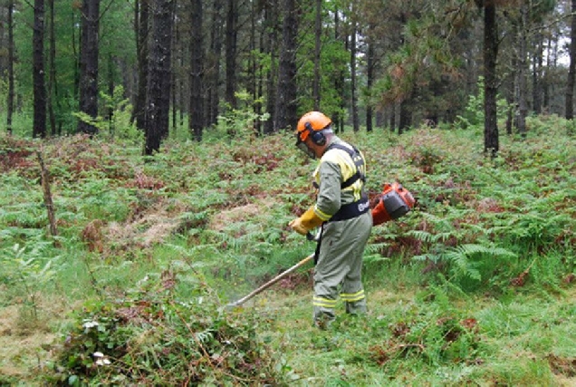 Prevencion incendios forestais monte (3)