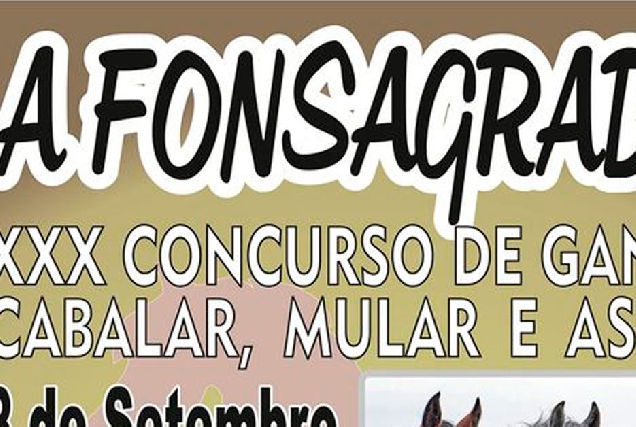 fonsagrada XXX Concurso cabalar mular asnal